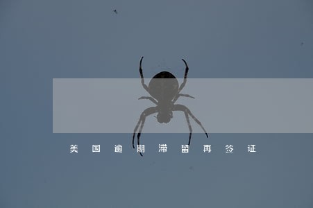 美国逾期滞留再签证