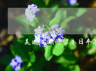 美国逾期滞留办日本签证 美国逾期滞留办日本签证