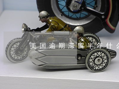 美国逾期滞留半年什么结果 美国逾期滞留半年什么结果