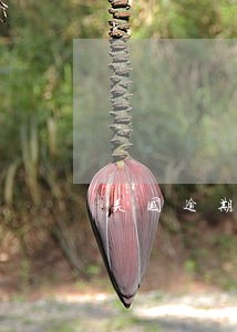 美国逾期滞留名单 美国逾期滞留名单
