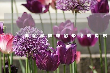 美国逾期滞留申请转身份