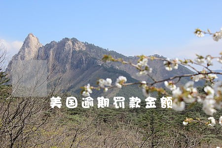 美国逾期罚款金额 美国逾期罚款金额