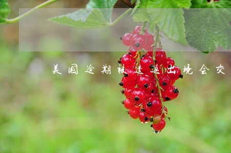 美国逾期被遣返出境会交罚款吗