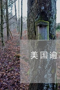 美国逾期记录多久会清除 美国逾期记录多久会清除