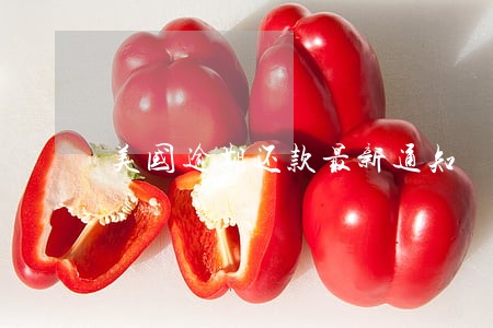 美国逾期还款最新通知 美国逾期还款最新通知