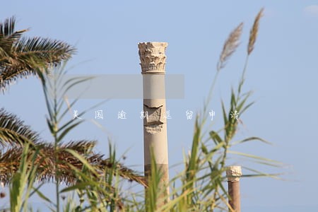 美国逾期逗留申请 美国逾期逗留申请