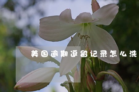 美国逾期逗留记录怎么洗掉 美国逾期逗留记录怎么洗掉