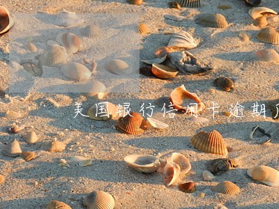 美国银行信用卡逾期后果 美国银行信用卡逾期后果
