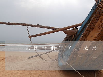美国非婚生子违法吗 美国非婚生子违法吗