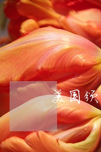 美国颁布的环保法规