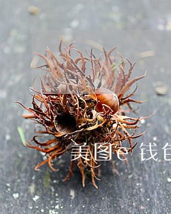 美图e钱包逾期会怎样 美图e钱包逾期会怎样