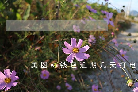 美图e钱包逾期几天打电话 美图e钱包逾期几天打电话