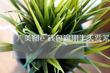 美图e钱包逾期半天要紧吗 美图e钱包逾期半天要紧吗