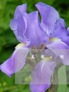 美图e钱包逾期后果 美图e钱包逾期后果