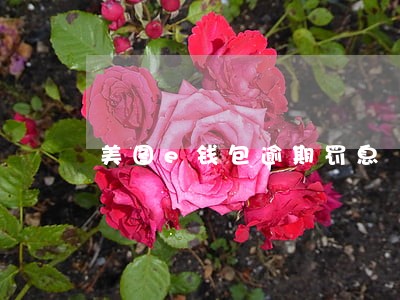 美图e钱包逾期罚息 美图e钱包逾期罚息