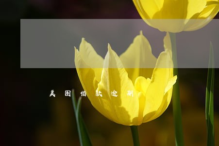 美图借款逾期 美图借款逾期