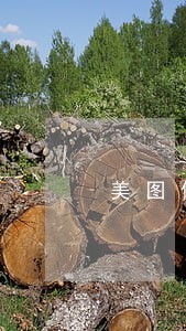 美图借款逾期1天 美图借款逾期1天