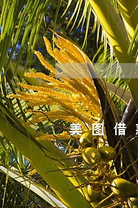 美图借款逾期会去家里面找吗 美图借款逾期会去家里面找吗