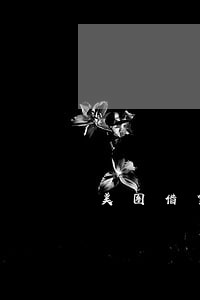 美图借贷逾期 美图借贷逾期