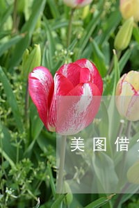 美图借贷逾期会怎么样 美图借贷逾期会怎么样