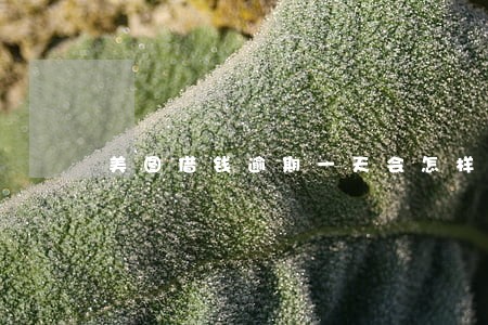 美图借钱逾期一天会怎样 美图借钱逾期一天会怎样