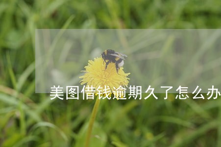 美图借钱逾期久了怎么办 美图借钱逾期久了怎么办