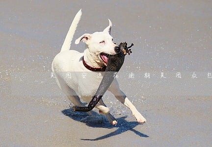 美图安逸花逾期美团众包会划扣吗 美图安逸花逾期美团众包会划扣吗