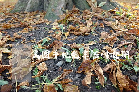 美图手机先享后付逾期 美图手机先享后付逾期