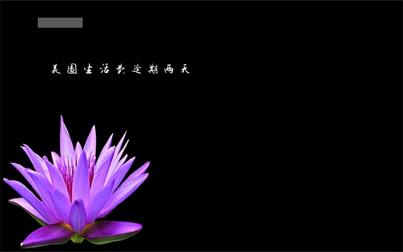 美图生活费逾期两天 美图生活费逾期两天