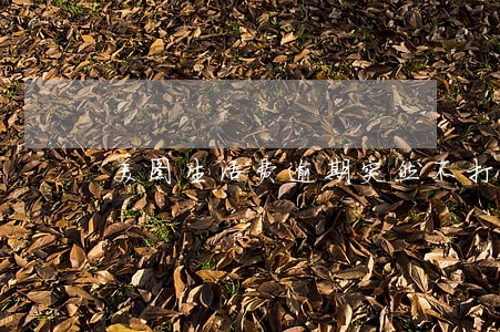 美图生活费逾期突然不打电话了 美图生活费逾期突然不打电话了
