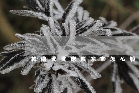 美图秀秀借钱逾期怎么算费用 美图秀秀借钱逾期怎么算费用