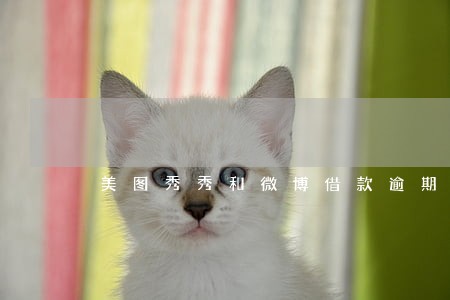 美图秀秀和微博借款逾期 美图秀秀和微博借款逾期