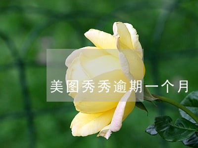 美图秀秀逾期一个月