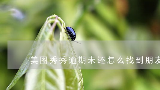 美图秀秀逾期未还怎么找到朋友的 美图秀秀逾期未还怎么找到朋友的