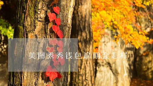 美图秀秀钱包逾期会怎样 美图秀秀钱包逾期会怎样
