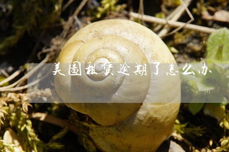 美图租赁逾期了怎么办 美图租赁逾期了怎么办