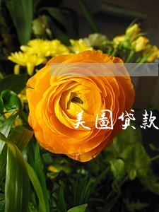 美图贷款逾期2天一直催收 美图贷款逾期2天一直催收