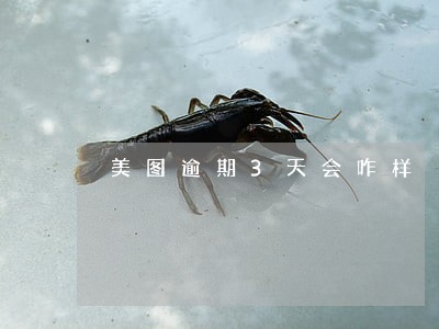 美图逾期3天会咋样 美图逾期3天会咋样