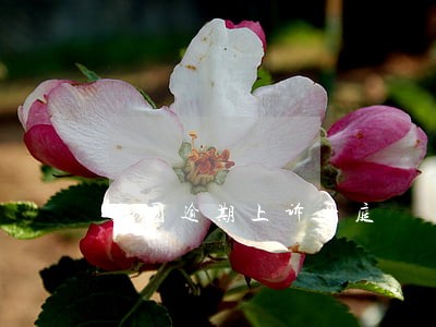 美图逾期上诉开庭 美图逾期上诉开庭