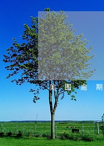 美图逾期了会上诉么 美图逾期了会上诉么