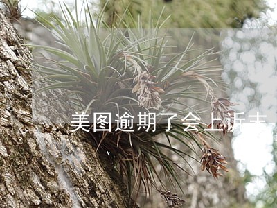 美图逾期了会上诉末 美图逾期了会上诉末