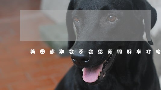 美图逾期会不会给亲朋好友打电话 美图逾期会不会给亲朋好友打电话