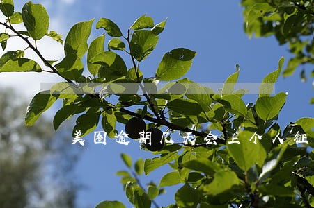 美图逾期几天会上个人征信 美图逾期几天会上个人征信