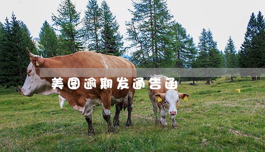 美图逾期发通告函 美图逾期发通告函