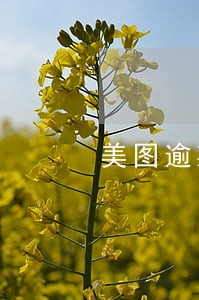 美图逾期打电话给村委会 美图逾期打电话给村委会