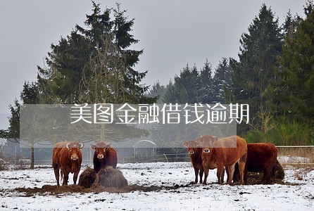 美图金融借钱逾期 美图金融借钱逾期