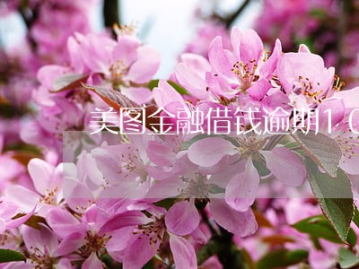 美图金融借钱逾期10天怎么办 美图金融借钱逾期10天怎么办