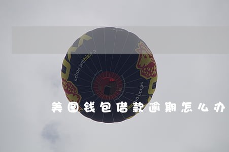 美图钱包借款逾期怎么办 美图钱包借款逾期怎么办