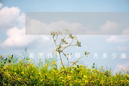 美图钱包逾期一天多少逾期费 美图钱包逾期一天多少逾期费