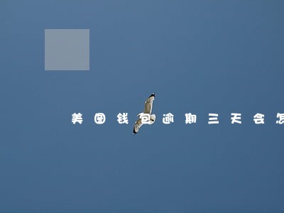 美图钱包逾期三天会怎么样 美图钱包逾期三天会怎么样